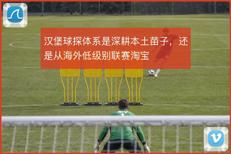 汉堡球探体系是深耕本土苗子,还是从海外低级别联赛淘宝