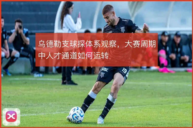 乌德勒支球探体系观察，大赛周期中人才通道如何运转