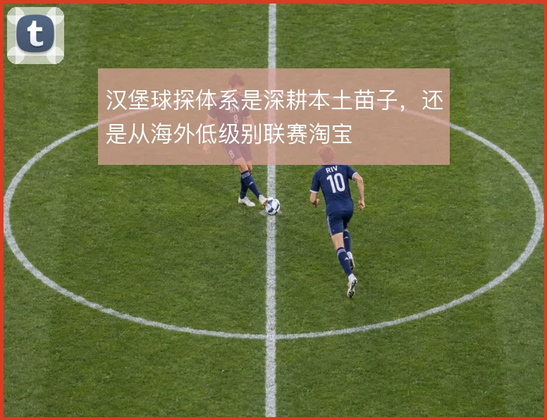 汉堡球探体系是深耕本土苗子，还是从海外低级别联赛淘宝