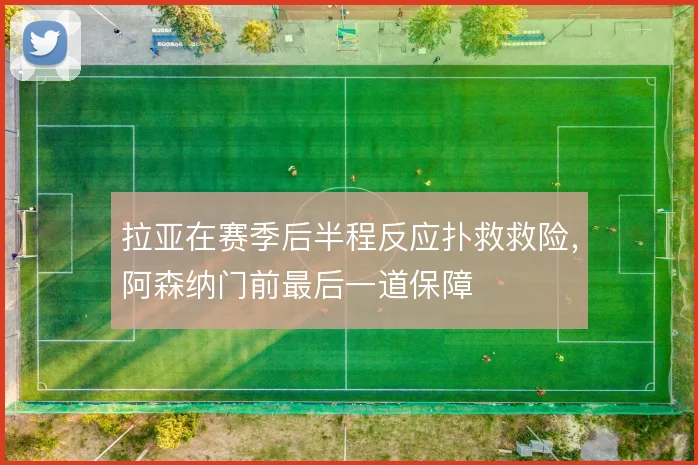 拉亚在赛季后半程反应扑救救险，阿森纳门前最后一道保障