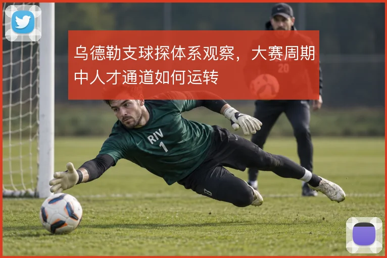 乌德勒支球探体系观察，大赛周期中人才通道如何运转
